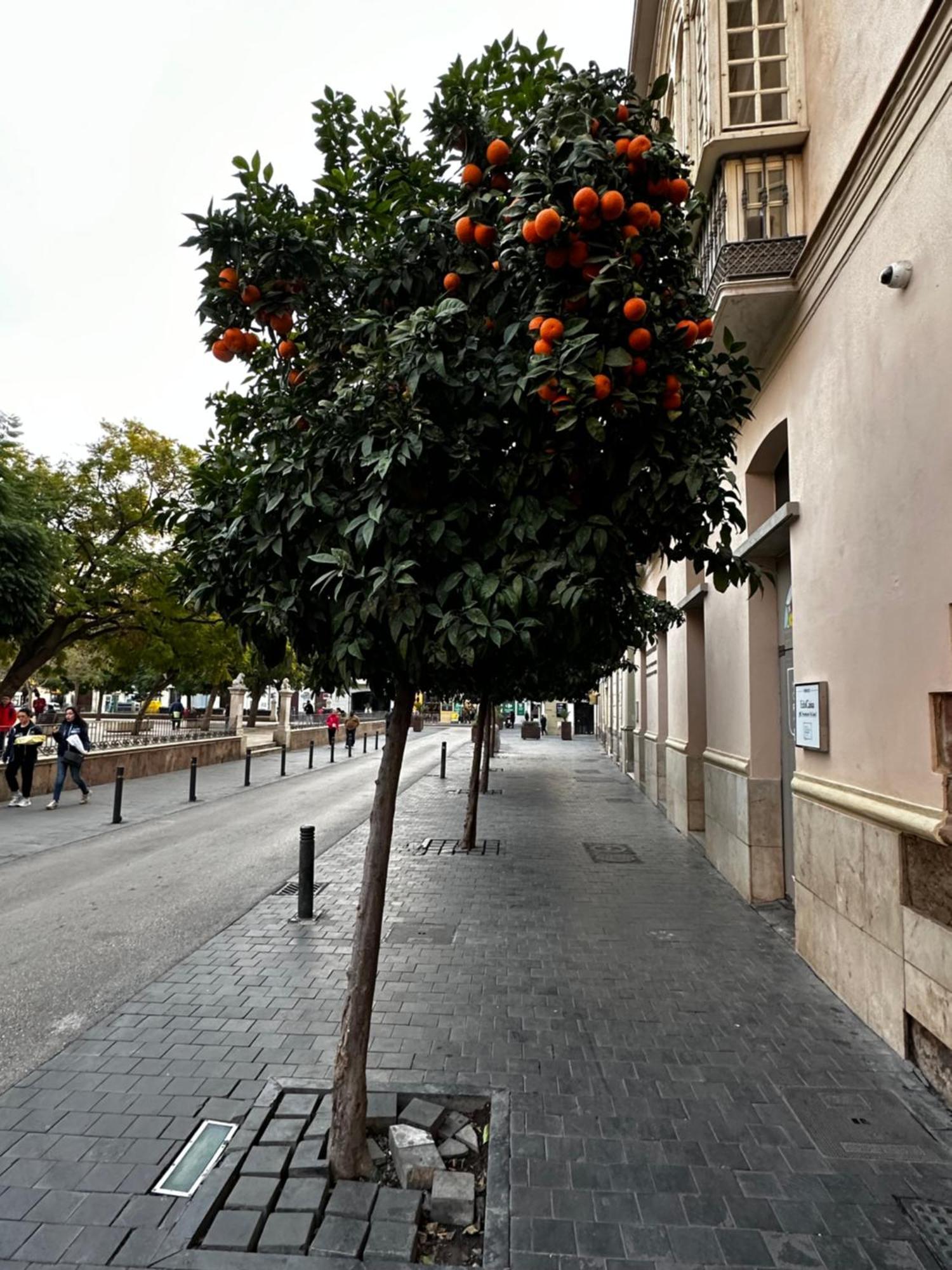 Apartamento Malaga'S Secret Exterior foto